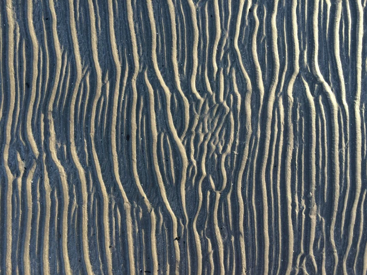 sand in motion along the beach with a wooden background