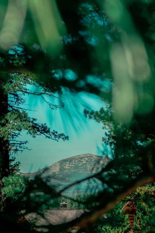 a picture through some trees looking across at the hills