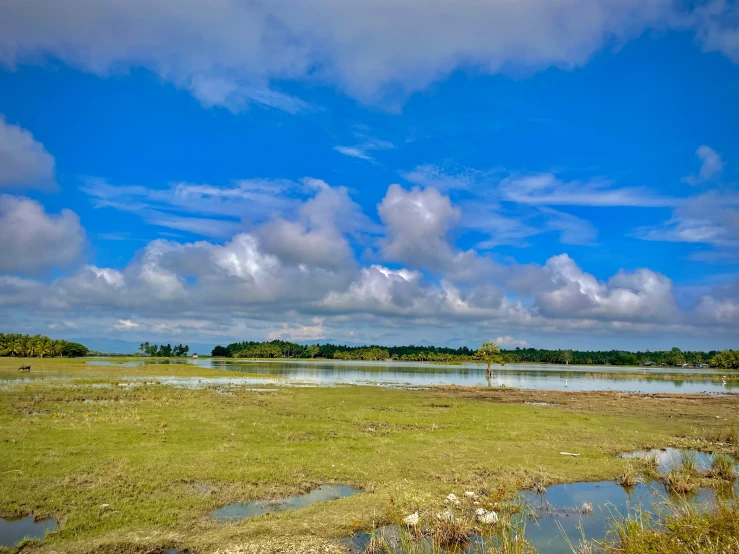 the sky above a marshy area with several lakes and trees