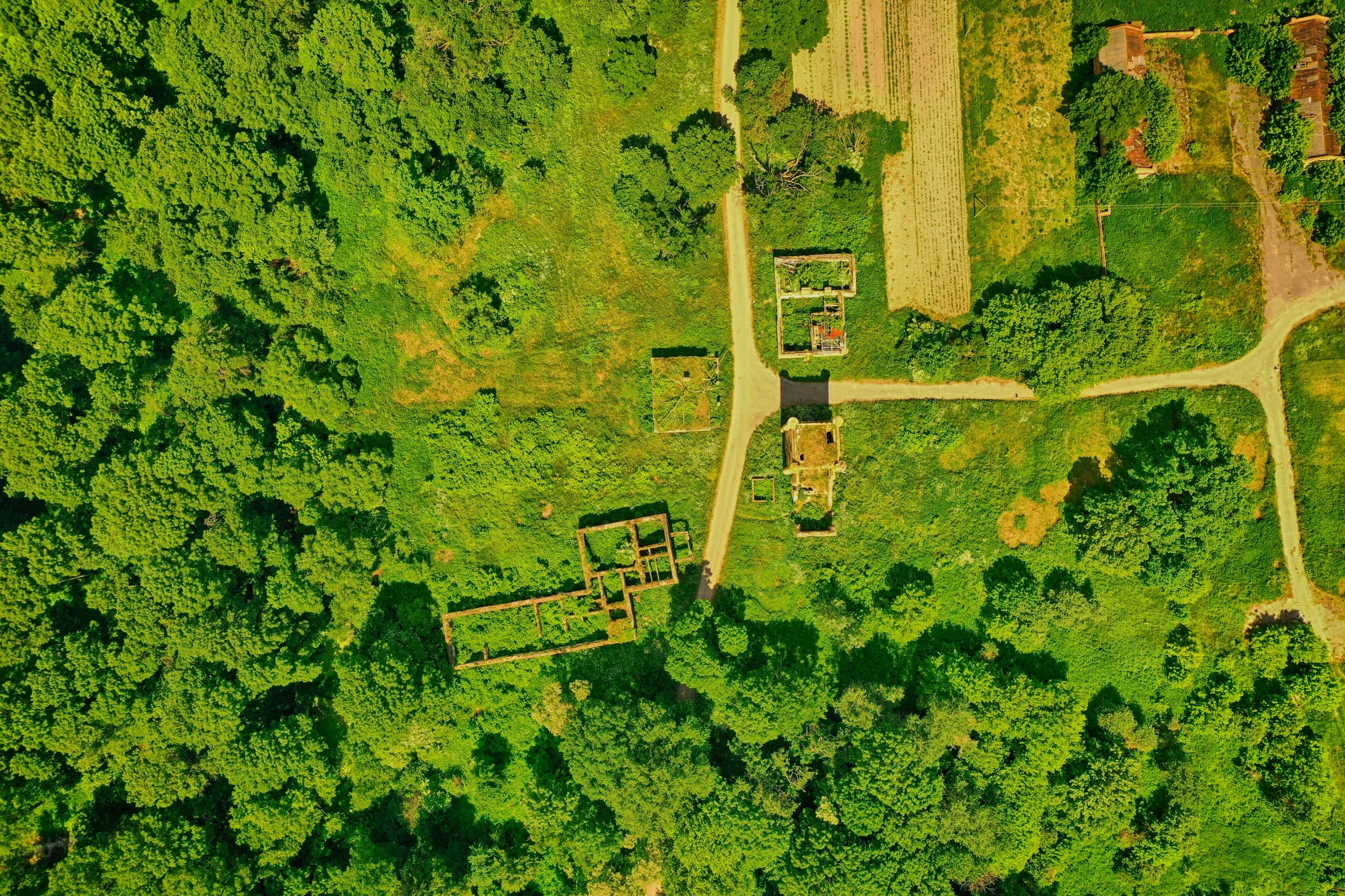 aerial view of the forest and surrounding land