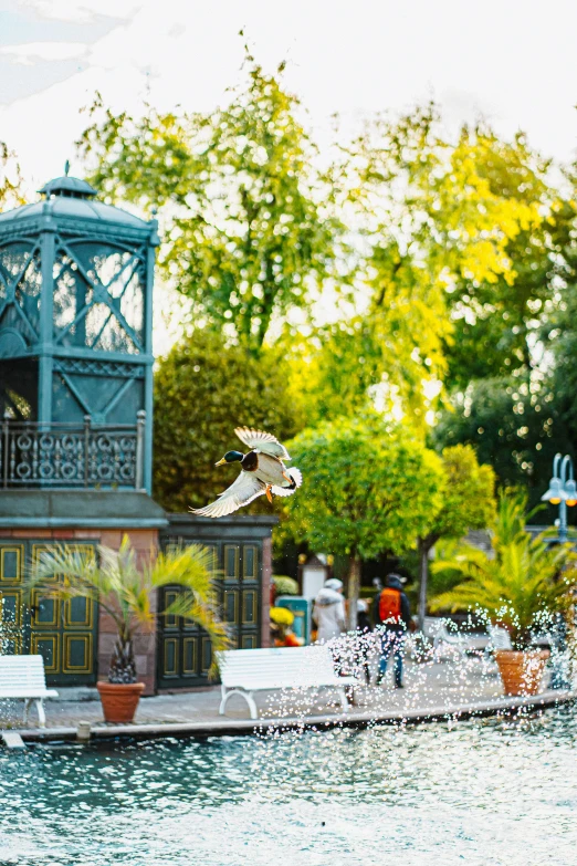 an empty park with a fountain and water features