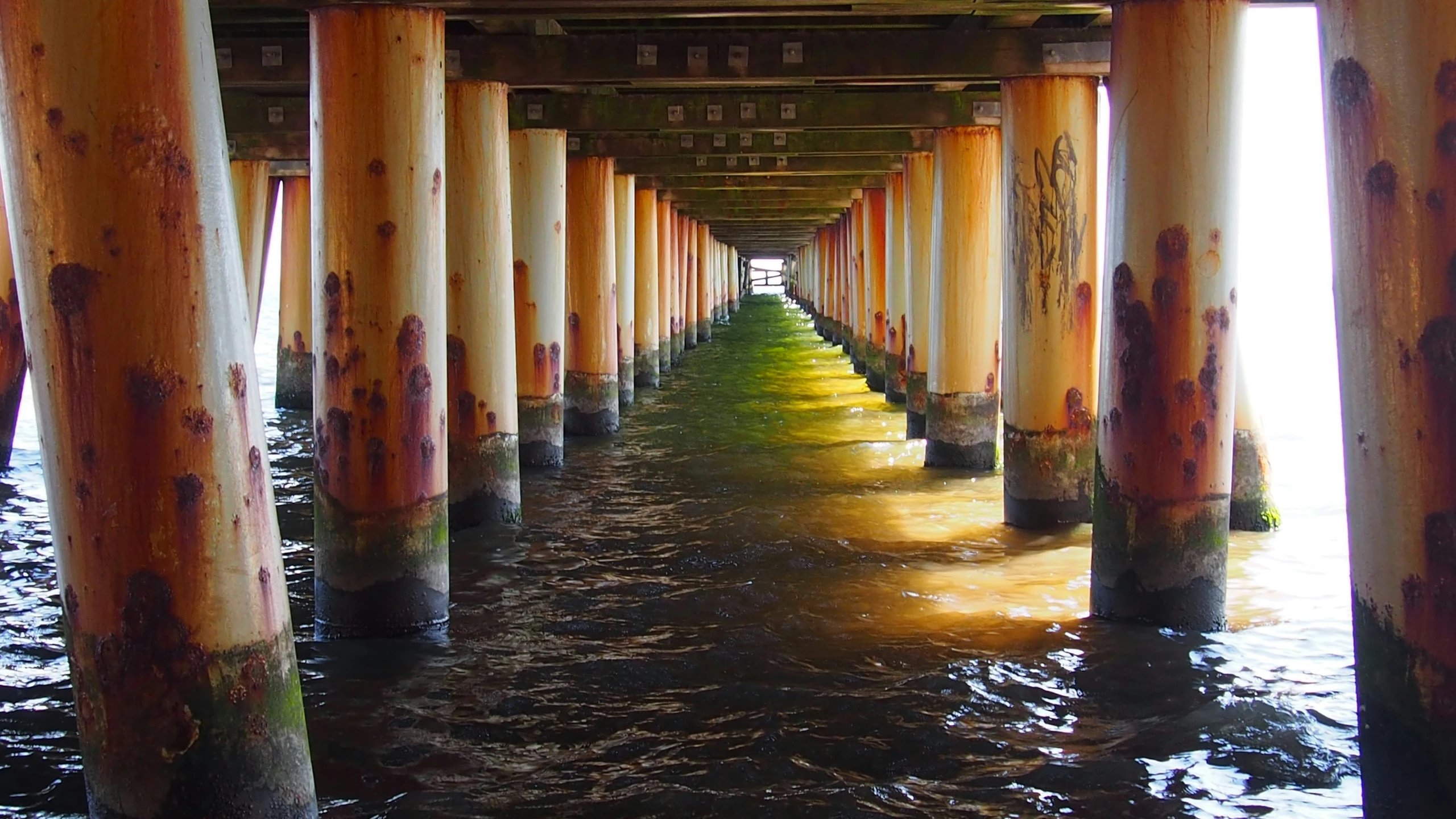 an area with a long line of wooden piers