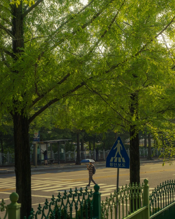 a blue sign sitting next to a green tree