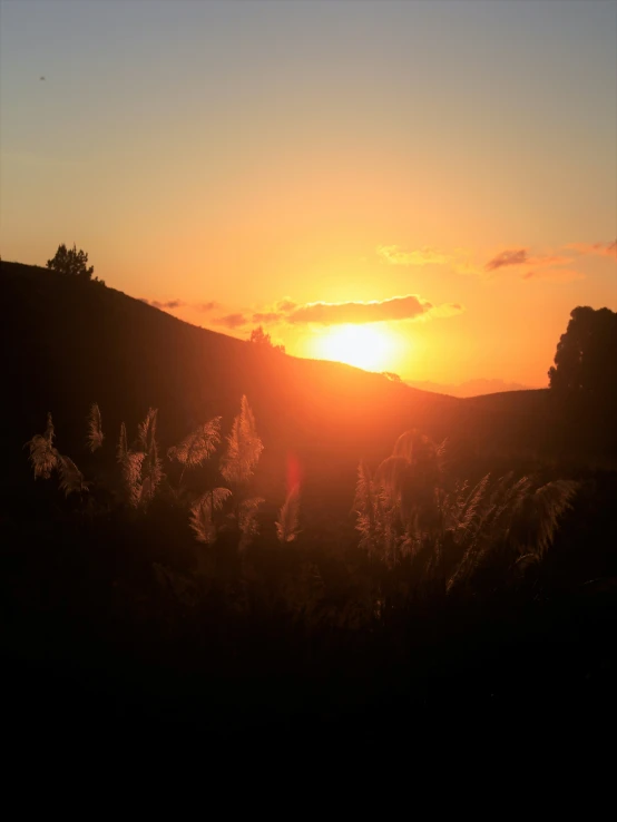 the sun is setting behind some trees on a hill