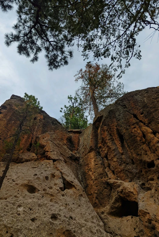 looking up at the side of a rock formation