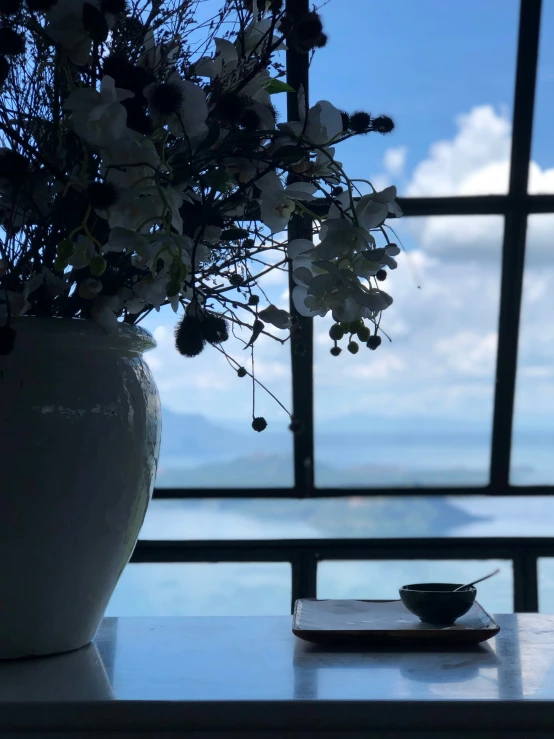 a white vase holding flowers in front of a window