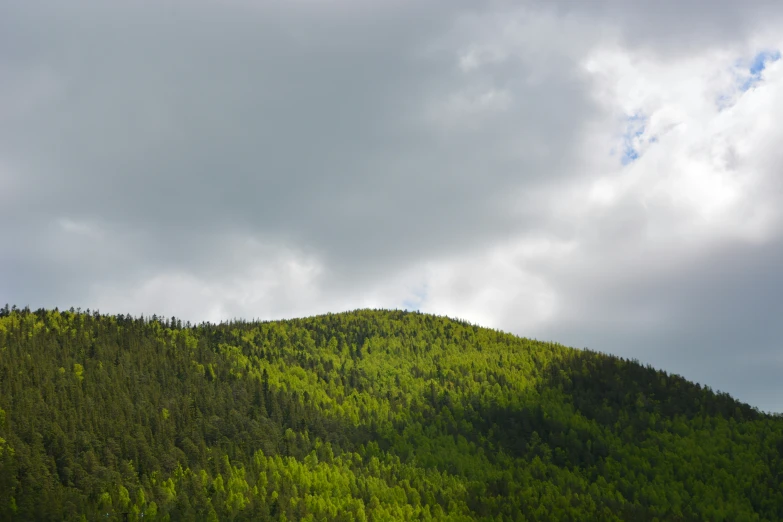 a lush green hill covered in trees under a blue sky