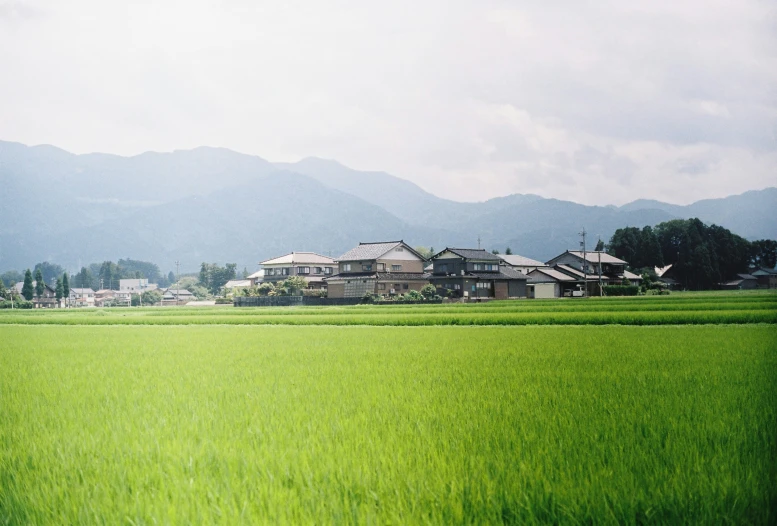 a beautiful view of the grass and houses