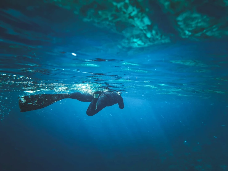 the underwater view of a woman swimming with a very large body of water in the background