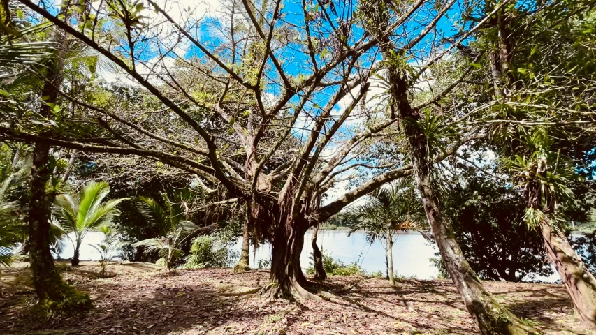 a park bench that is next to the river