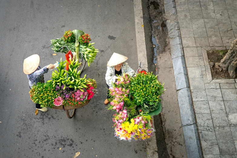 the two people are carrying plants on wheels