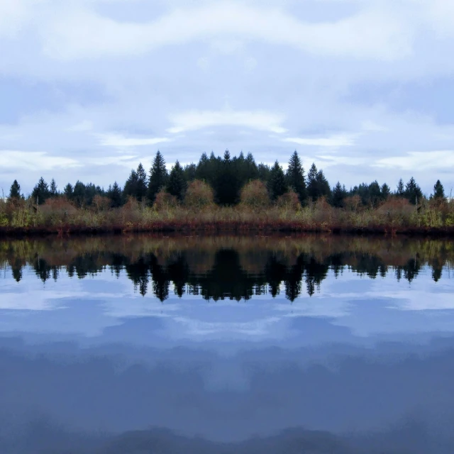 a pond with trees in the background and clear water in the foreground