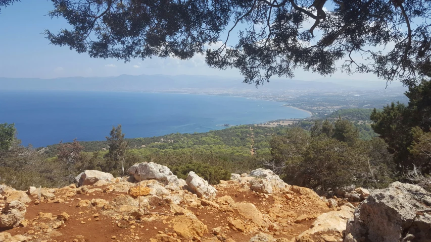 trees and bushes are around rocks on the side of a hill