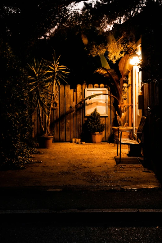 a dark lit driveway area with a tree on one side and a fenced in area behind the gate