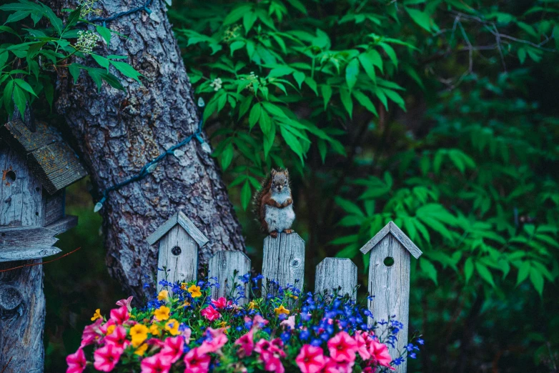 the bird is looking out over a fence with flowers