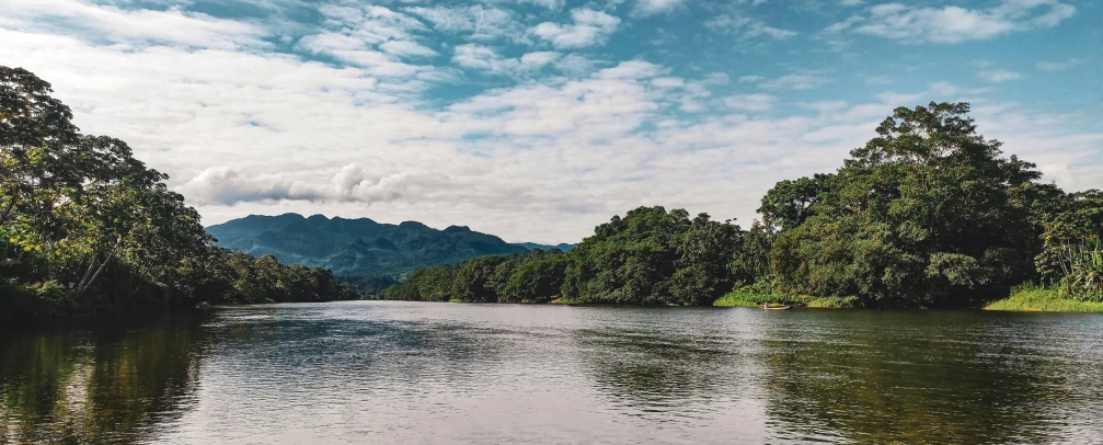 a body of water surrounded by trees and mountains