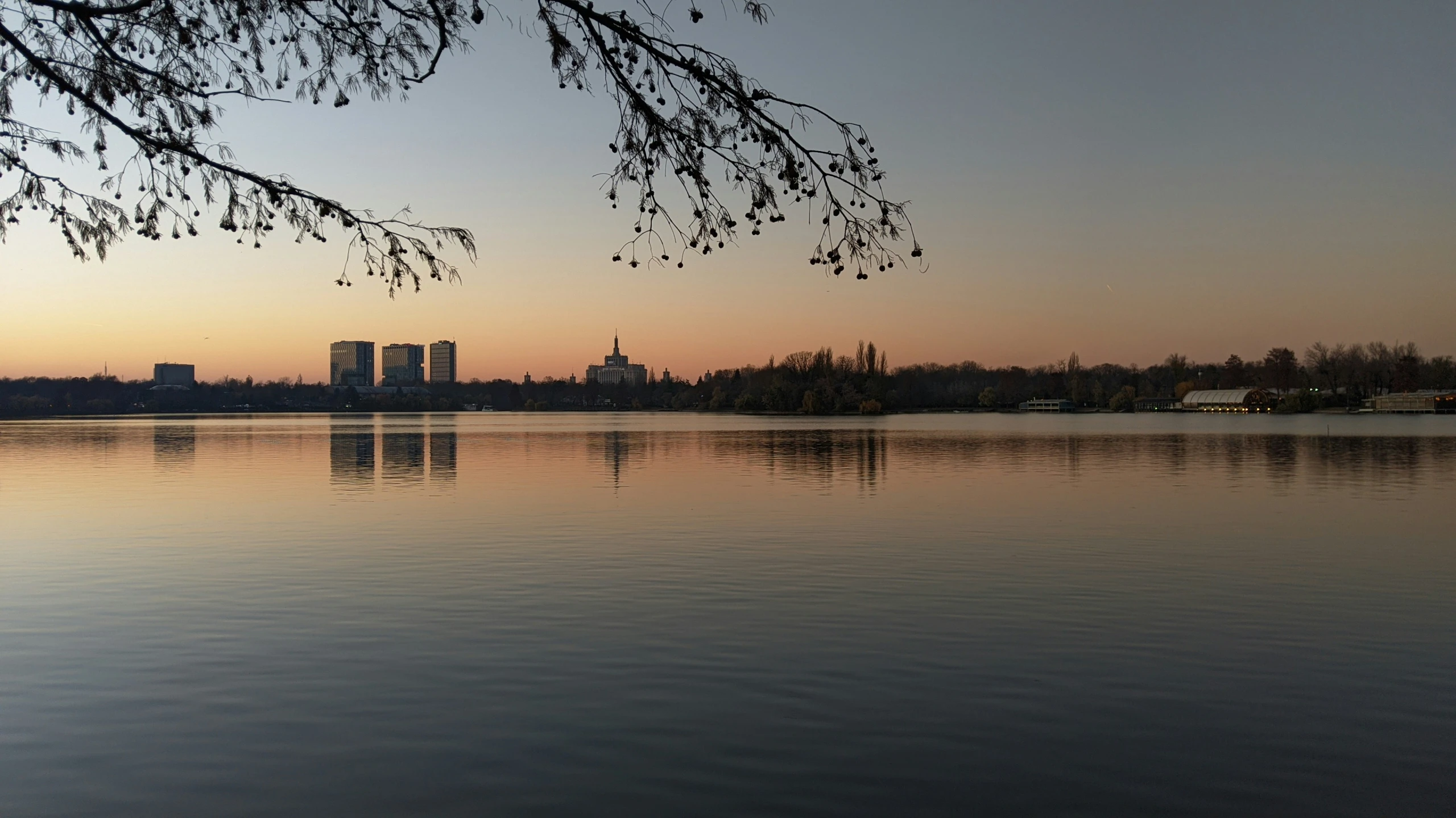 an image of some trees in the distance on the lake