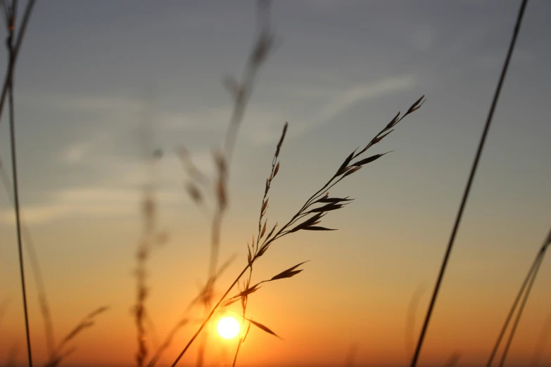 an image of sunset taken from the side of the water