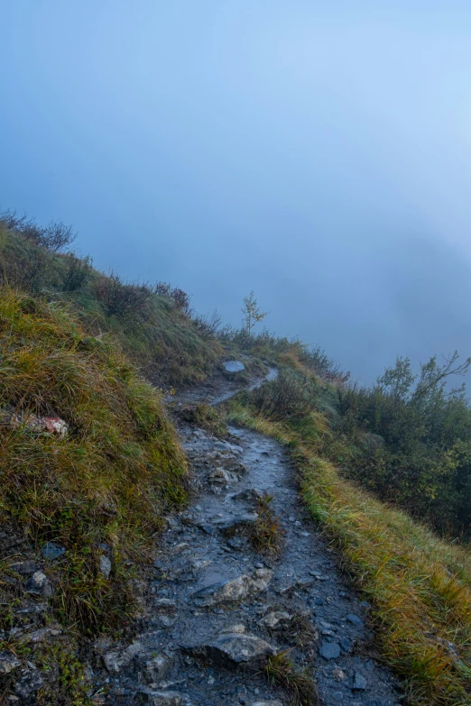 a pathway with two people up in the mountains