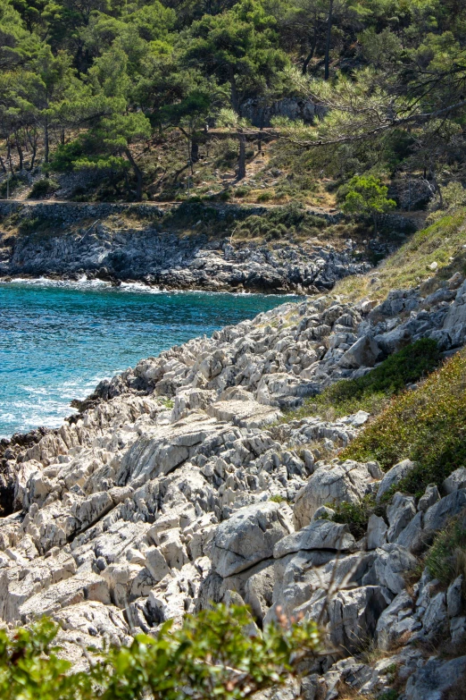 a rocky path leading down to a cove