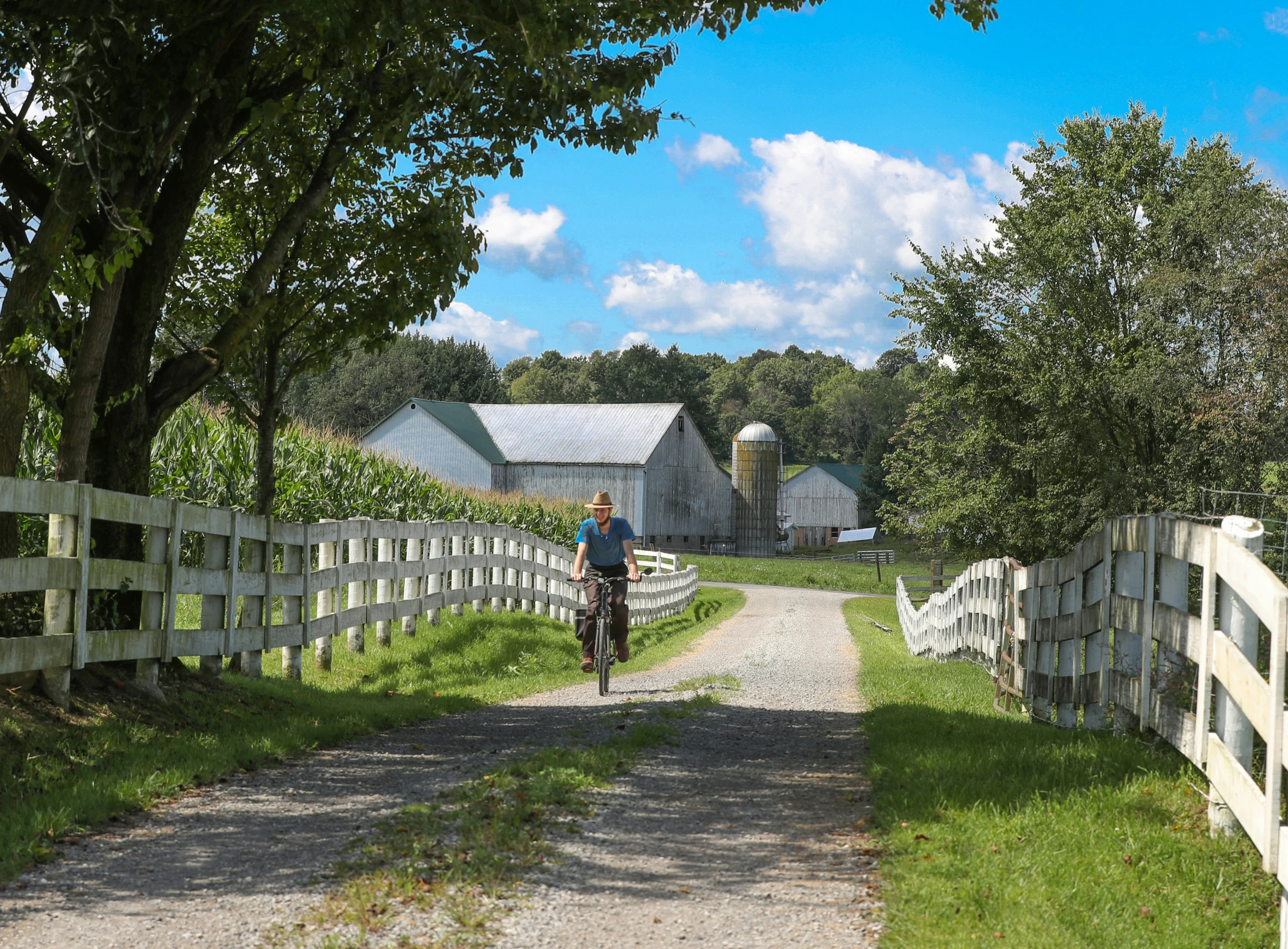 a biker rides past an old barn and country road