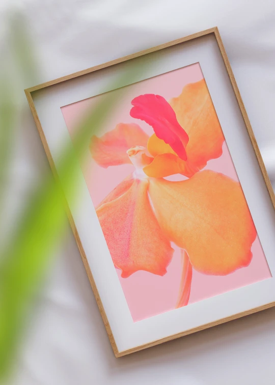 a picture frame with an orange flower painted on it