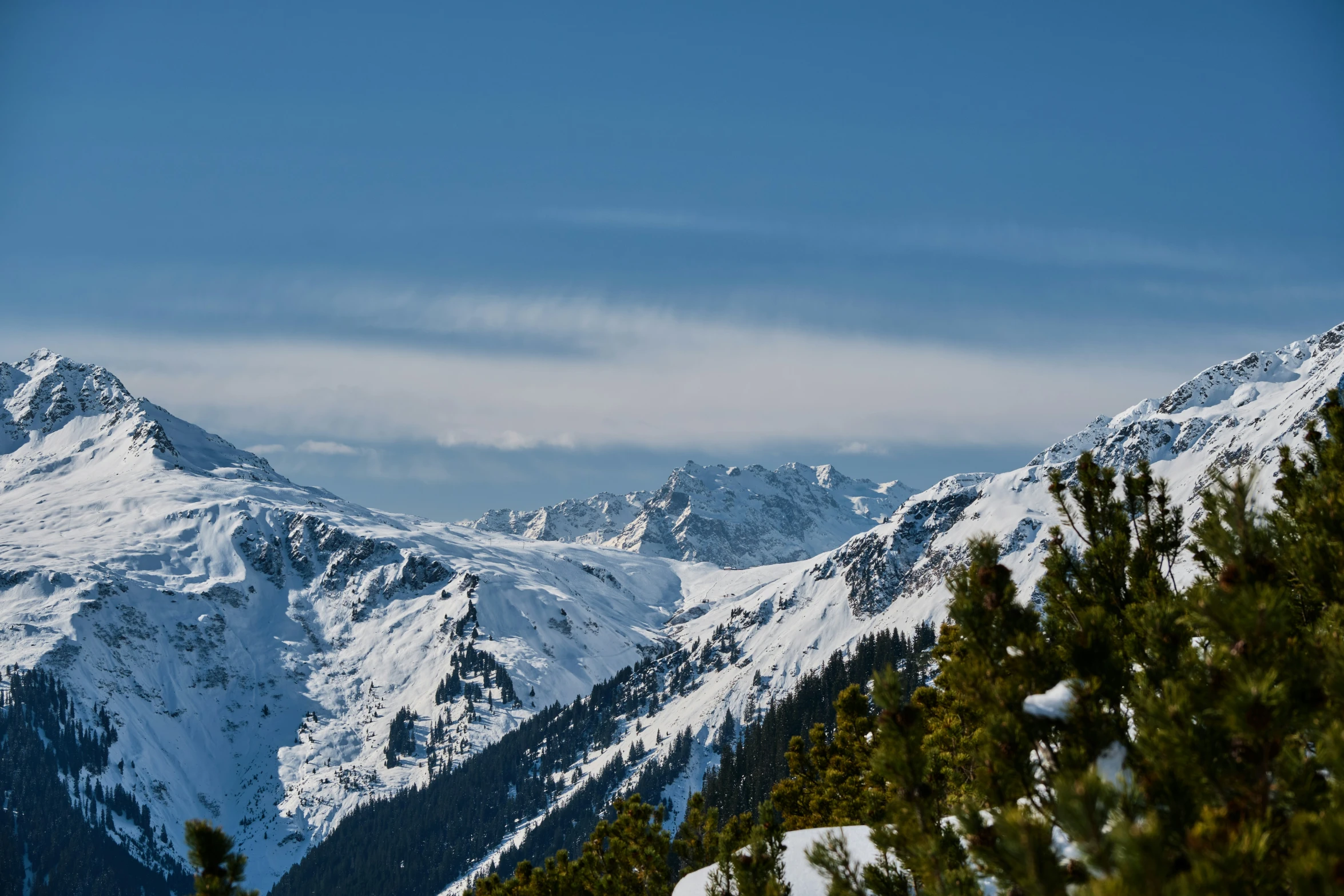 a mountain covered in snow and a bird flying