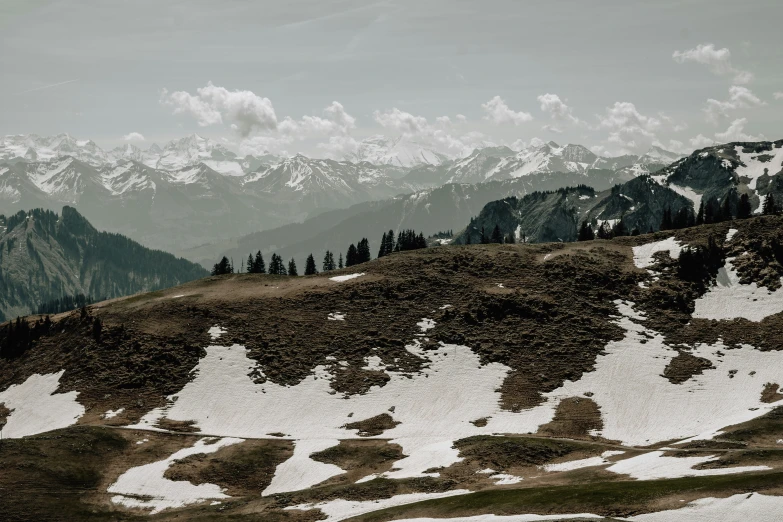 a snow covered mountain with trees in the background