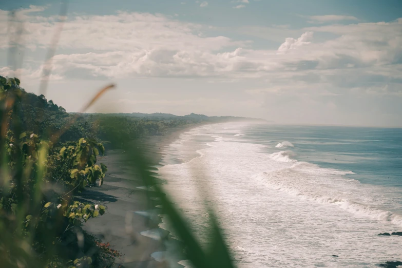 ocean front with beach and grass on top of it