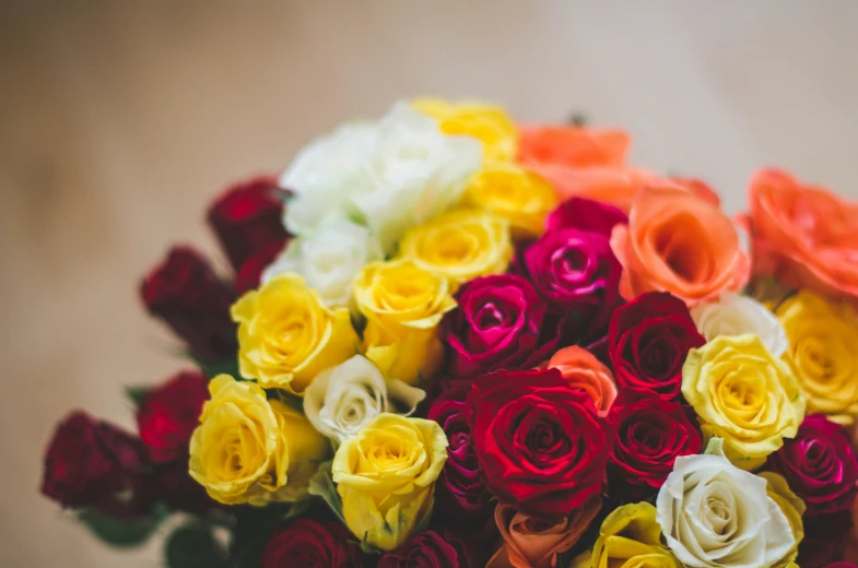 some multicolored flowers are arranged in a vase