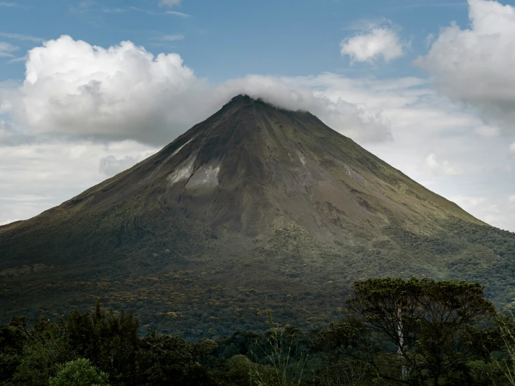 a view of a tall mountain surrounded by trees