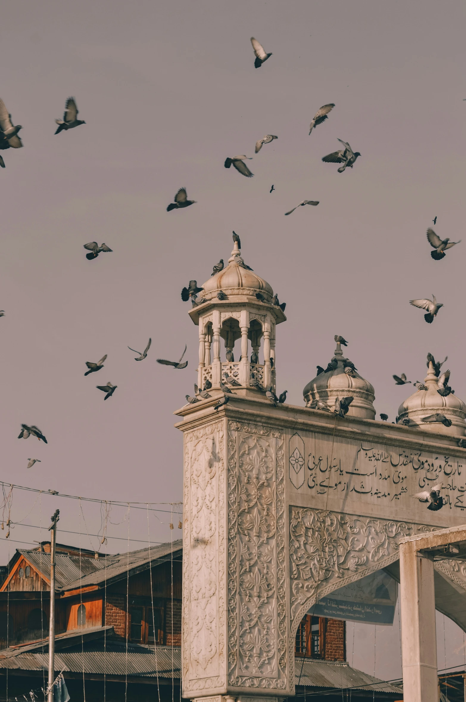 many birds fly around an old clock tower