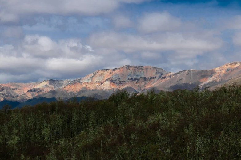 a picture of a mountain in the distance with trees all around