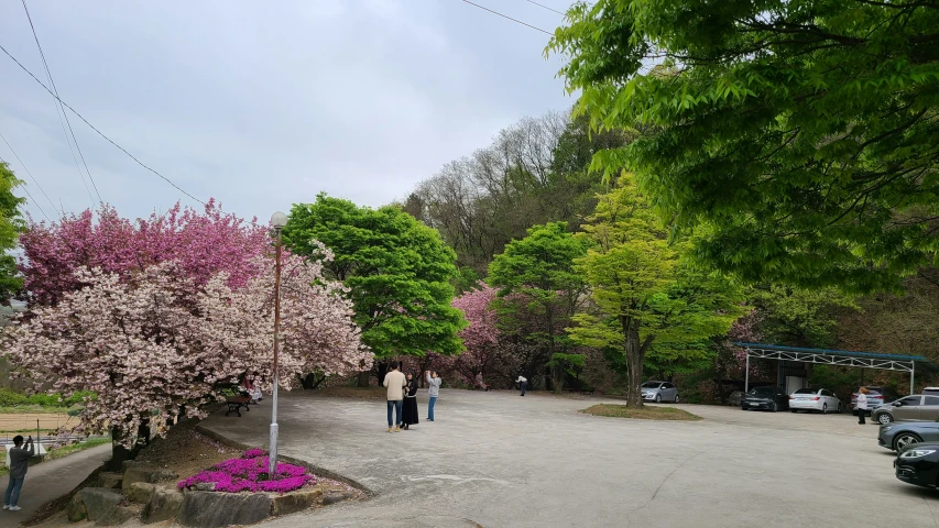 some people are walking on a pathway in the park