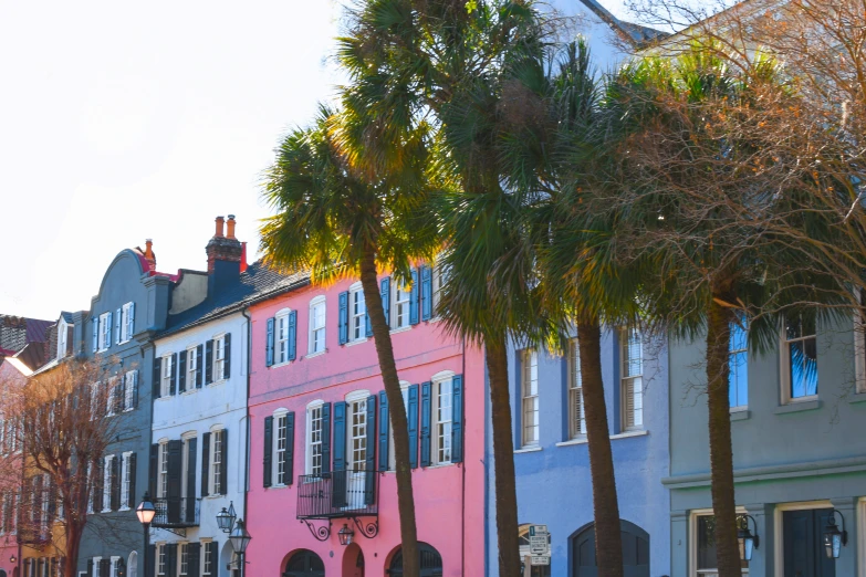 palm trees line a city street near colorful buildings