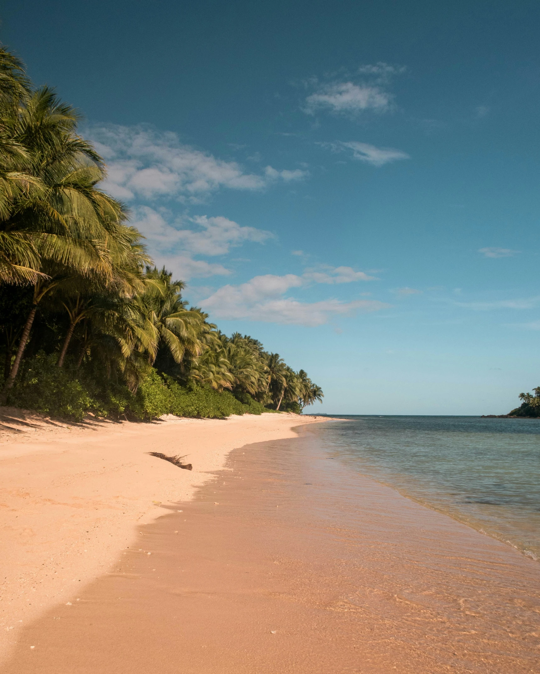 the ocean on a tropical beach with coconut trees