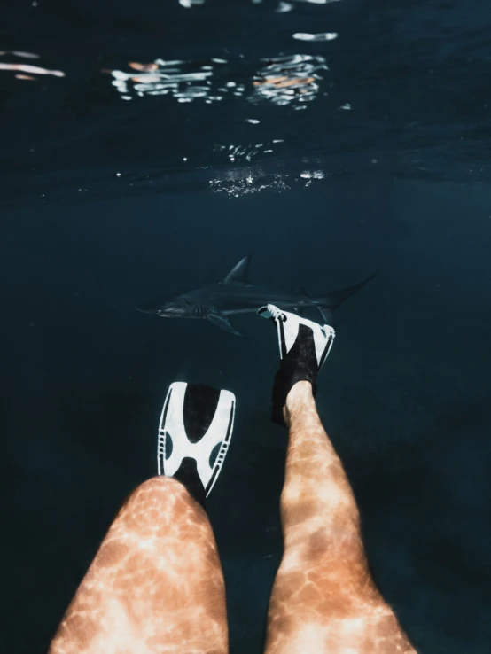 legs with their shoes up in the water, while a shark swims