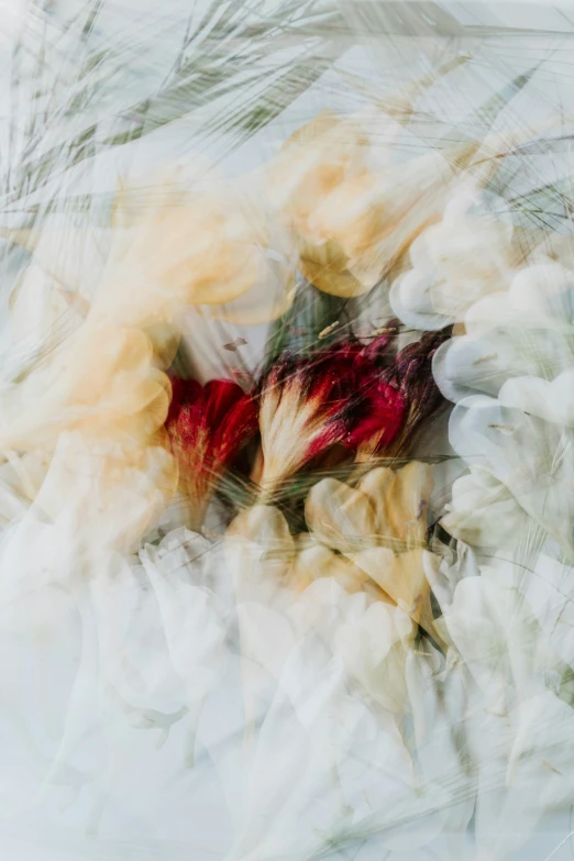 a blurry pograph with flowers in a vase