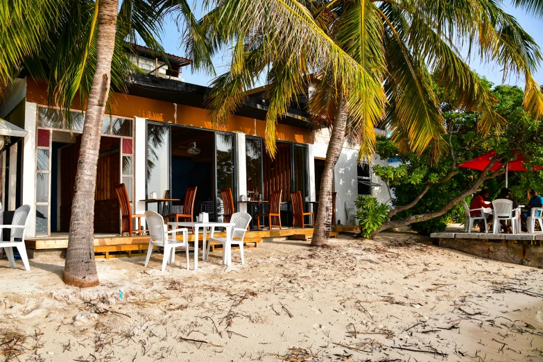 there is a beach front restaurant with a large palm tree