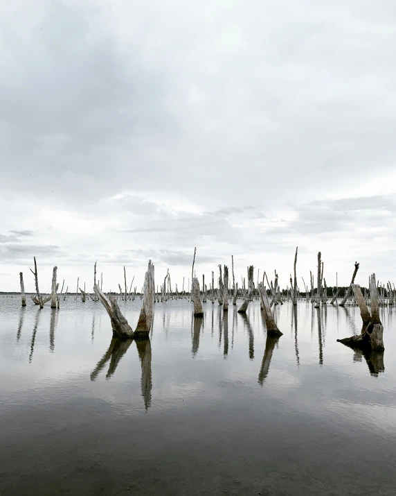 some poles in the water with cloudy skies