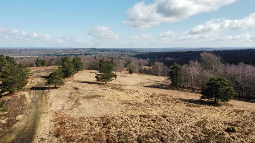 a dirt field with some trees and a hill in the background