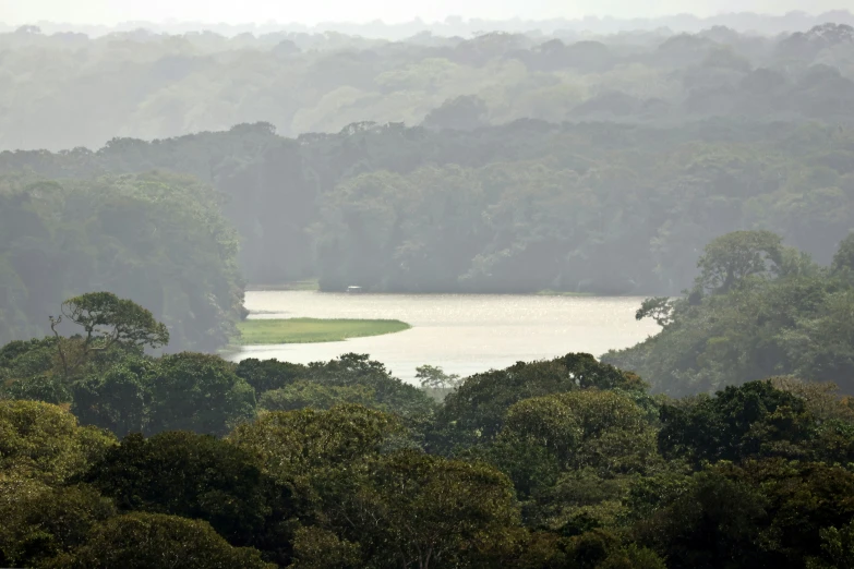 the view from atop a hill shows a lake and several trees