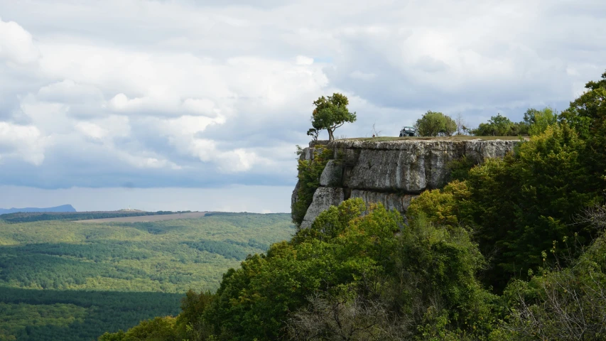 tree trees on the edge of a cliff with cloudy skies