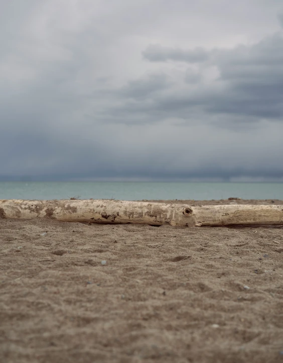 a beach with a single piece of a log in the foreground