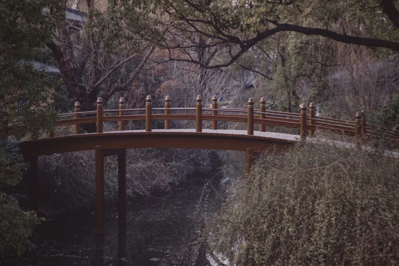 two people walking across a wooden bridge next to water