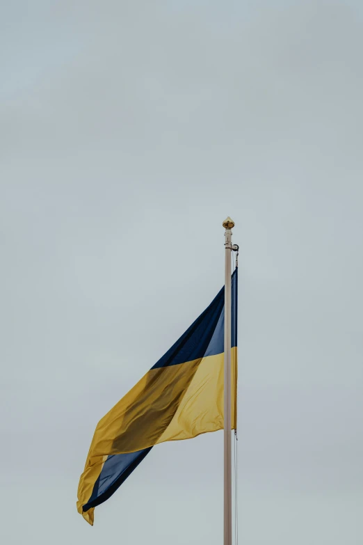 a flag on top of a metal pole