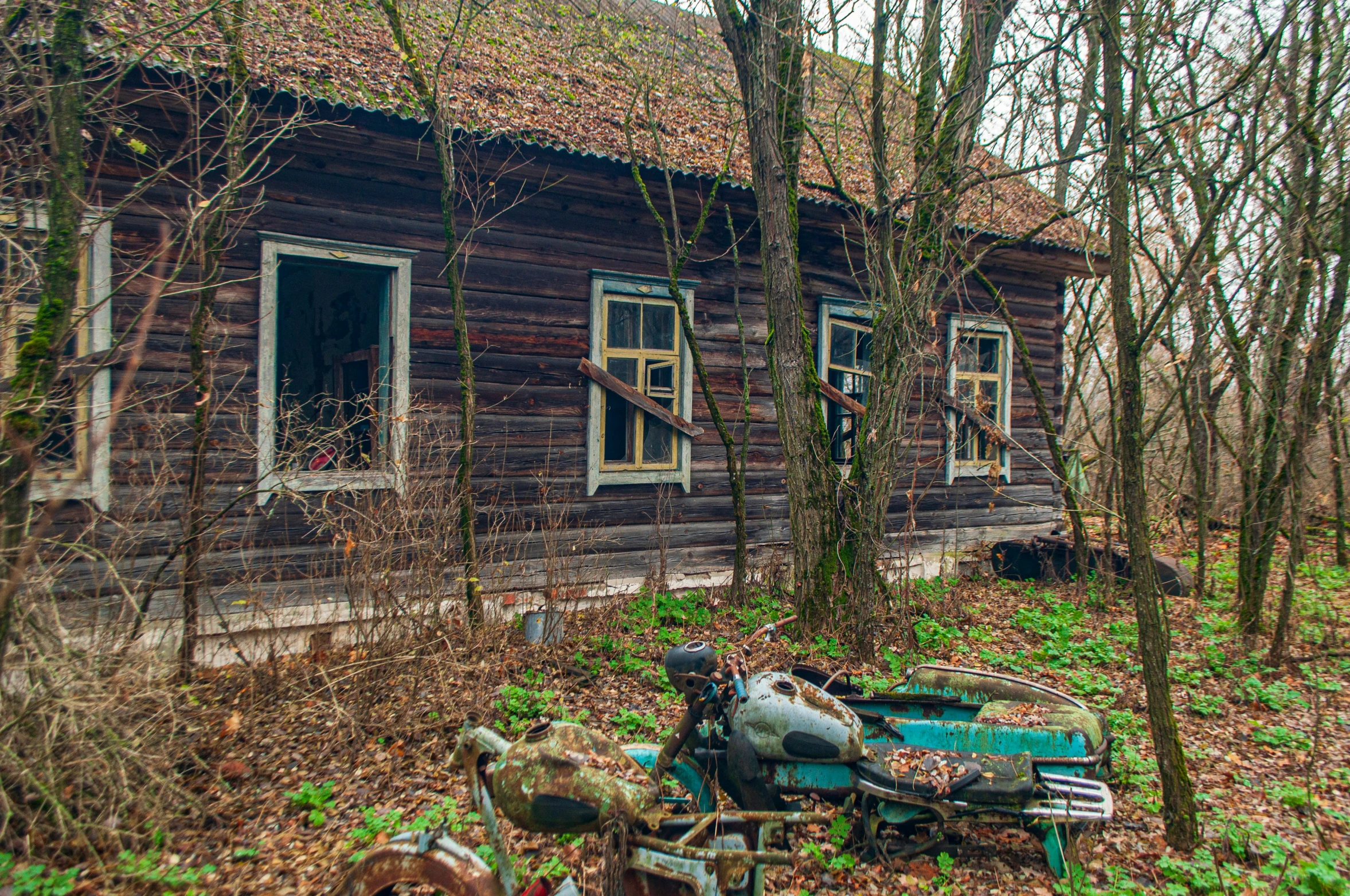 an abandoned house sits alone in the woods