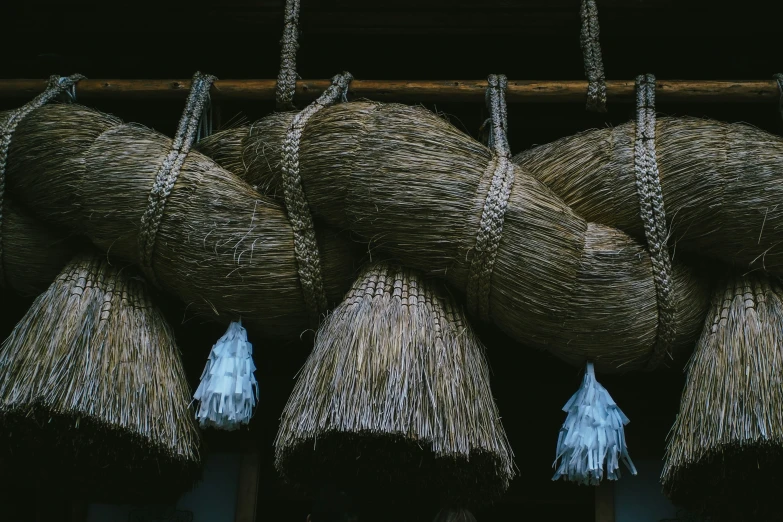 several bundles of sisape hanging up next to each other