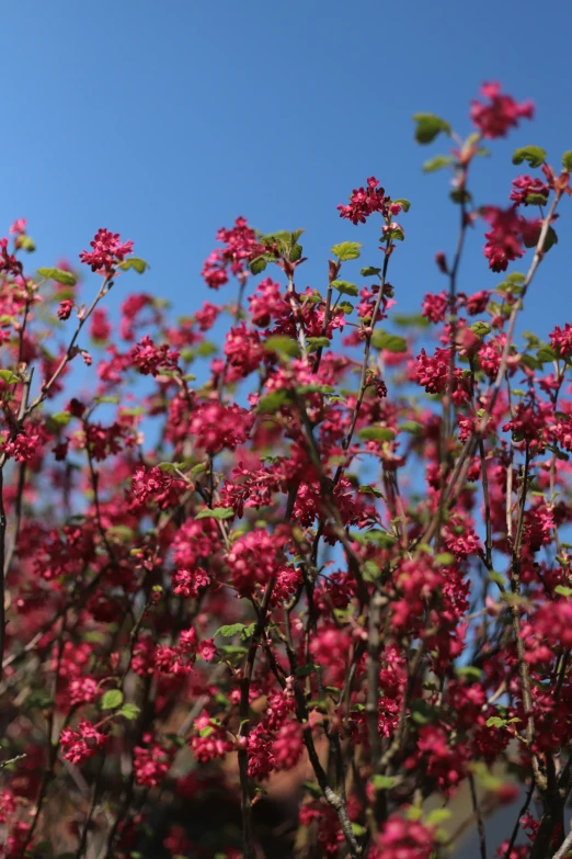 small flowers in a large planter against the blue sky