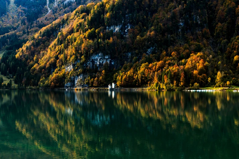 water surrounded by trees with bright leaves near hillside